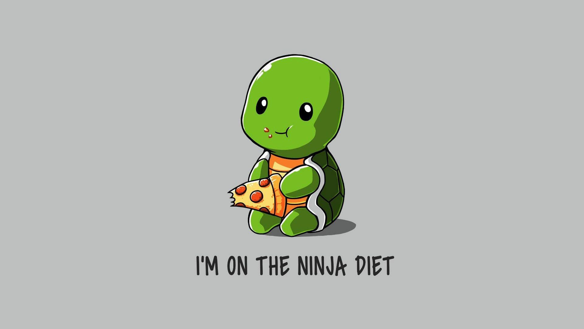 Funny Turtle Wallpapers