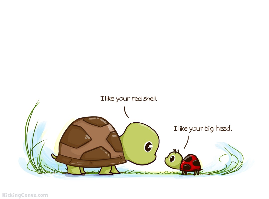 Funny Turtle Wallpapers