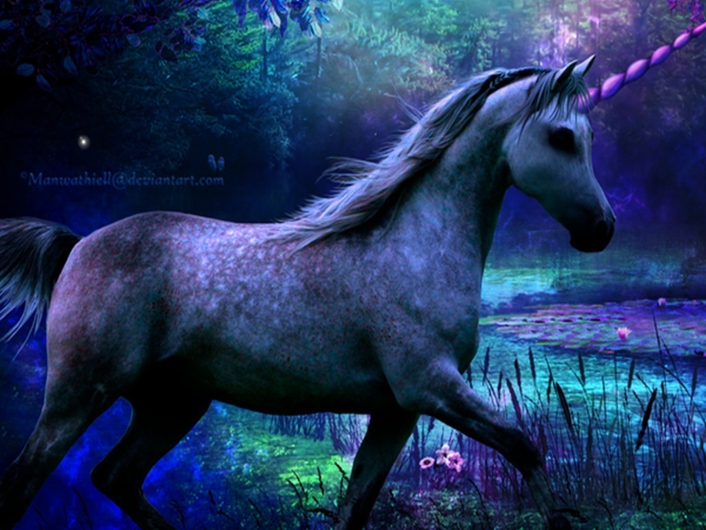 Funny Unicorn Wallpapers