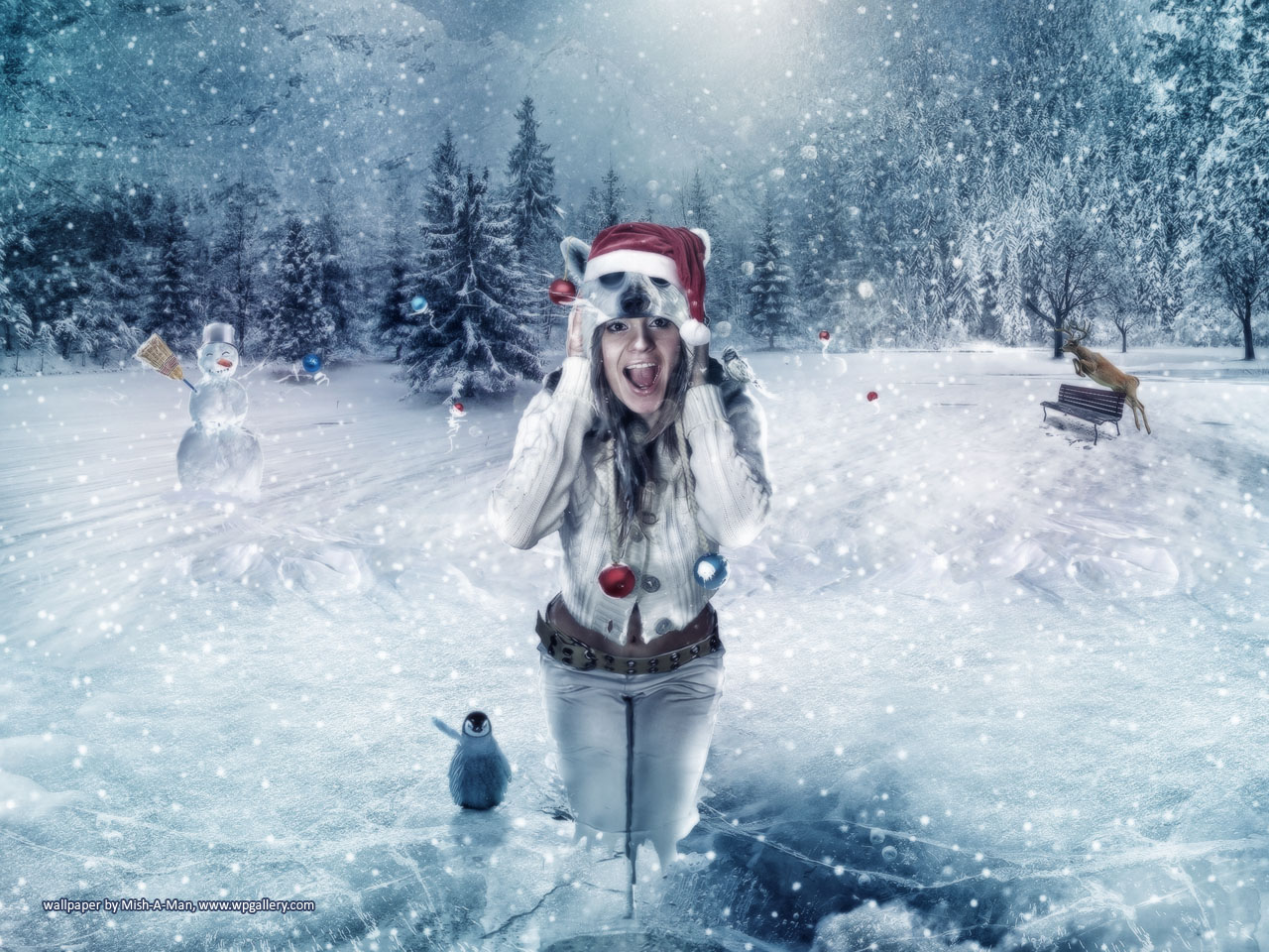 Funny Winter Wallpapers