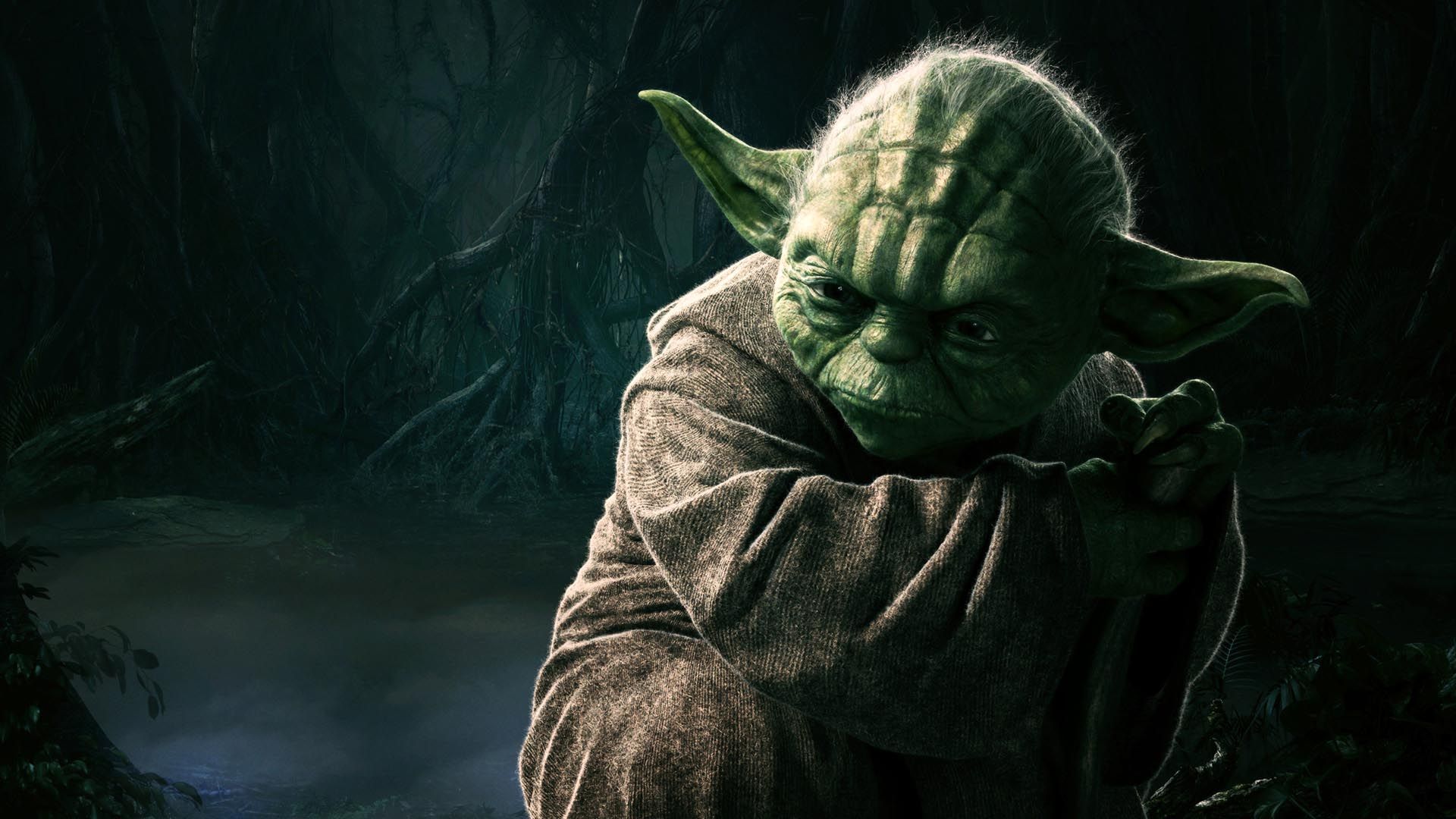 Funny Yoda Picture Wallpapers