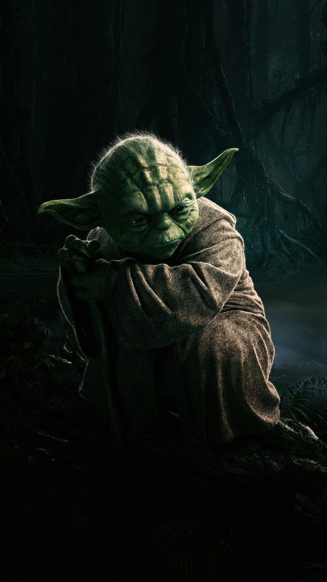 Funny Yoda Picture Wallpapers