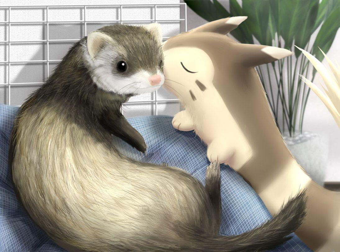 Furret Hd Wallpapers