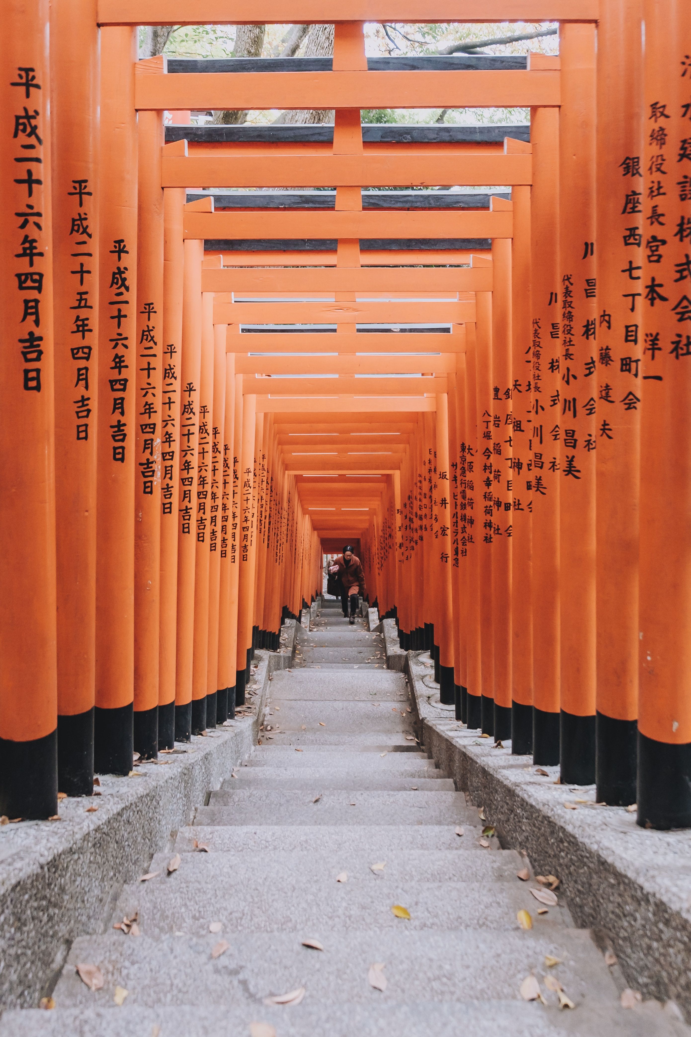 Fushimi Inari Taisha Wallpapers