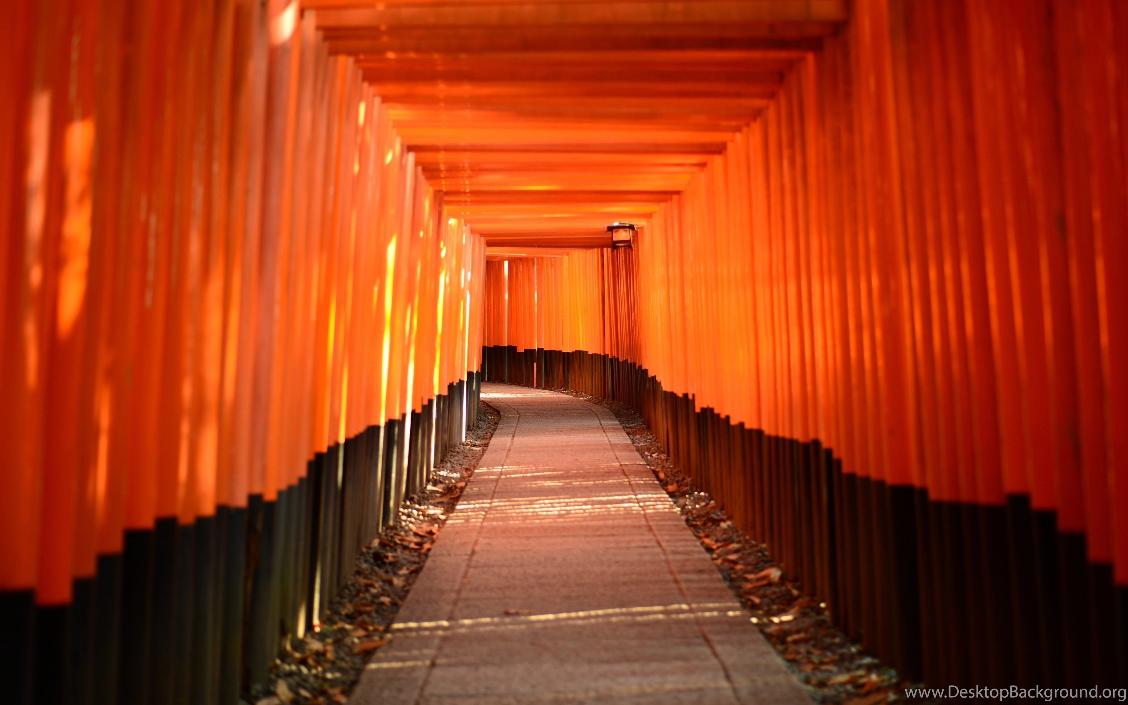 Fushimi Inari Taisha Wallpapers