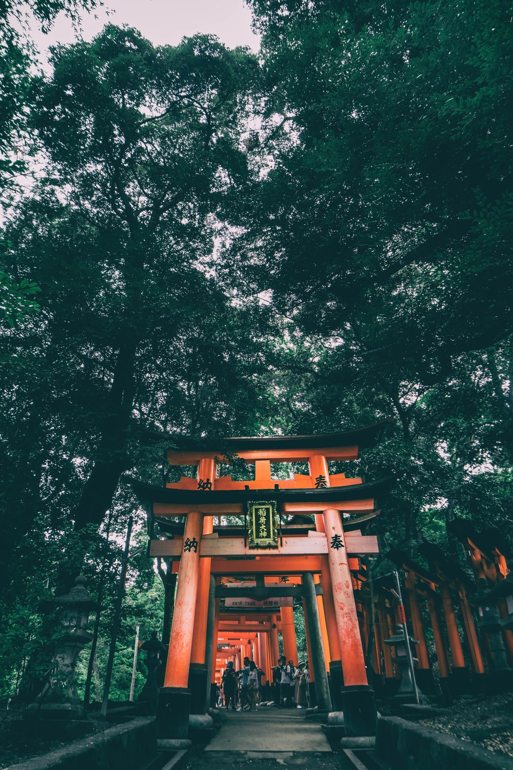 Fushimi Inari Taisha Wallpapers