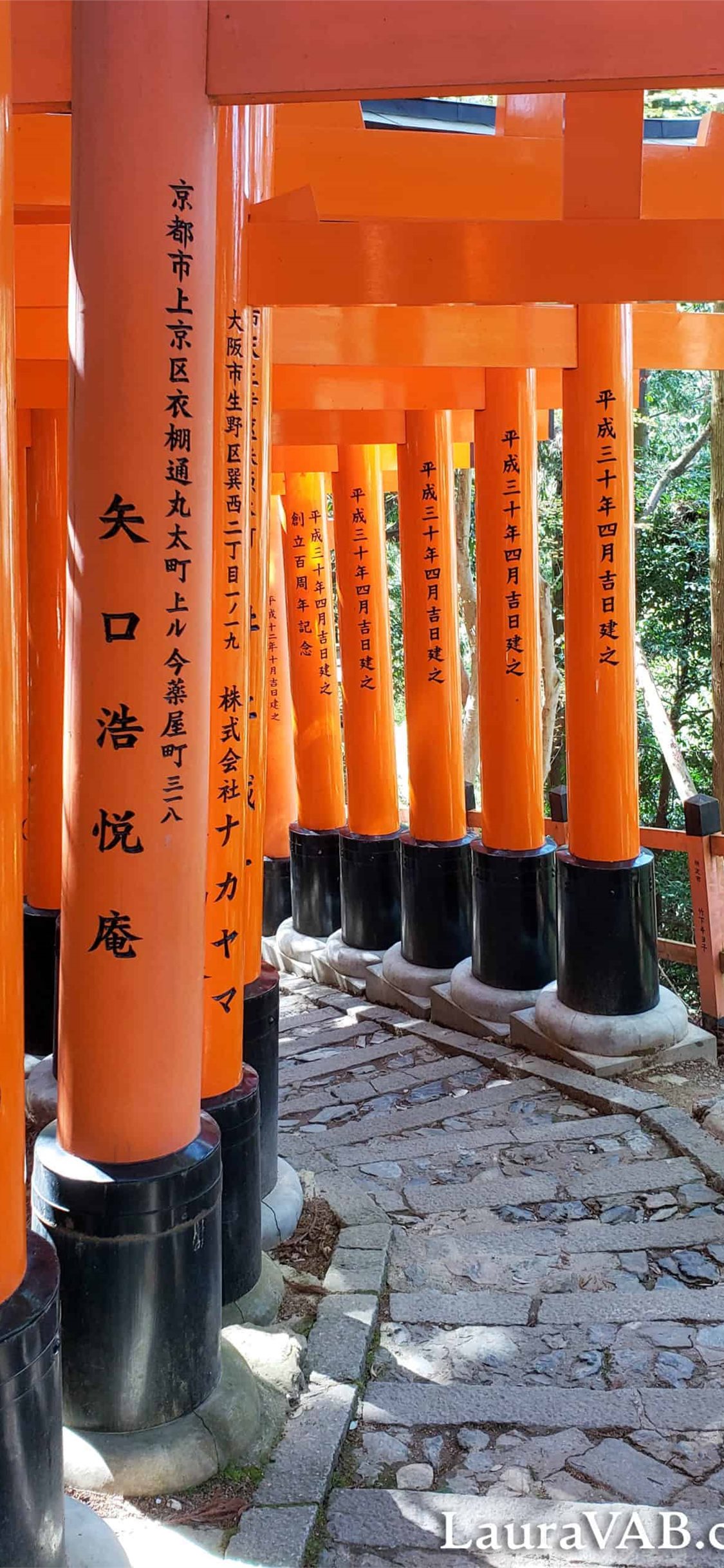 Fushimi Inari Taisha Wallpapers