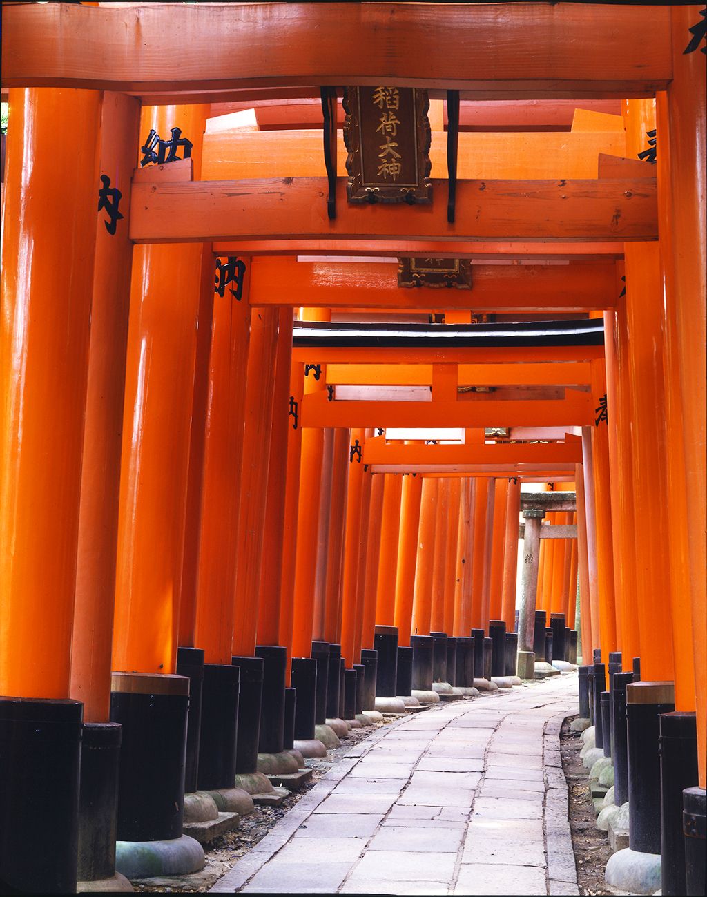 Fushimi Inari Taisha Wallpapers