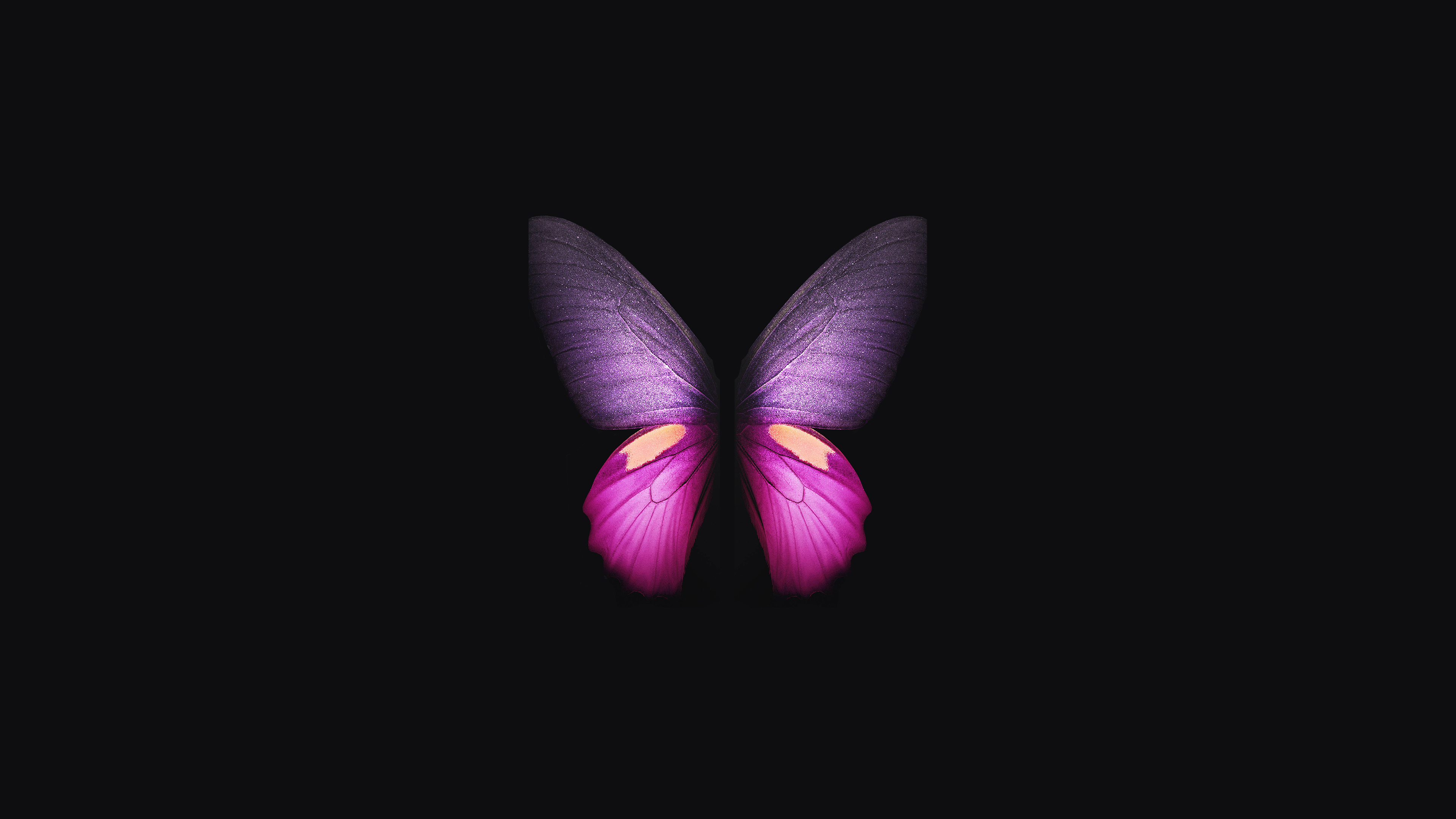 Galaxy Butterfly Wallpapers