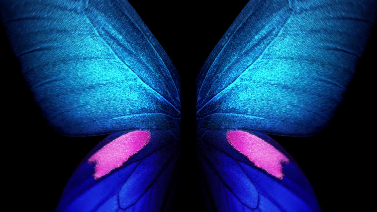 Galaxy Butterfly Wallpapers