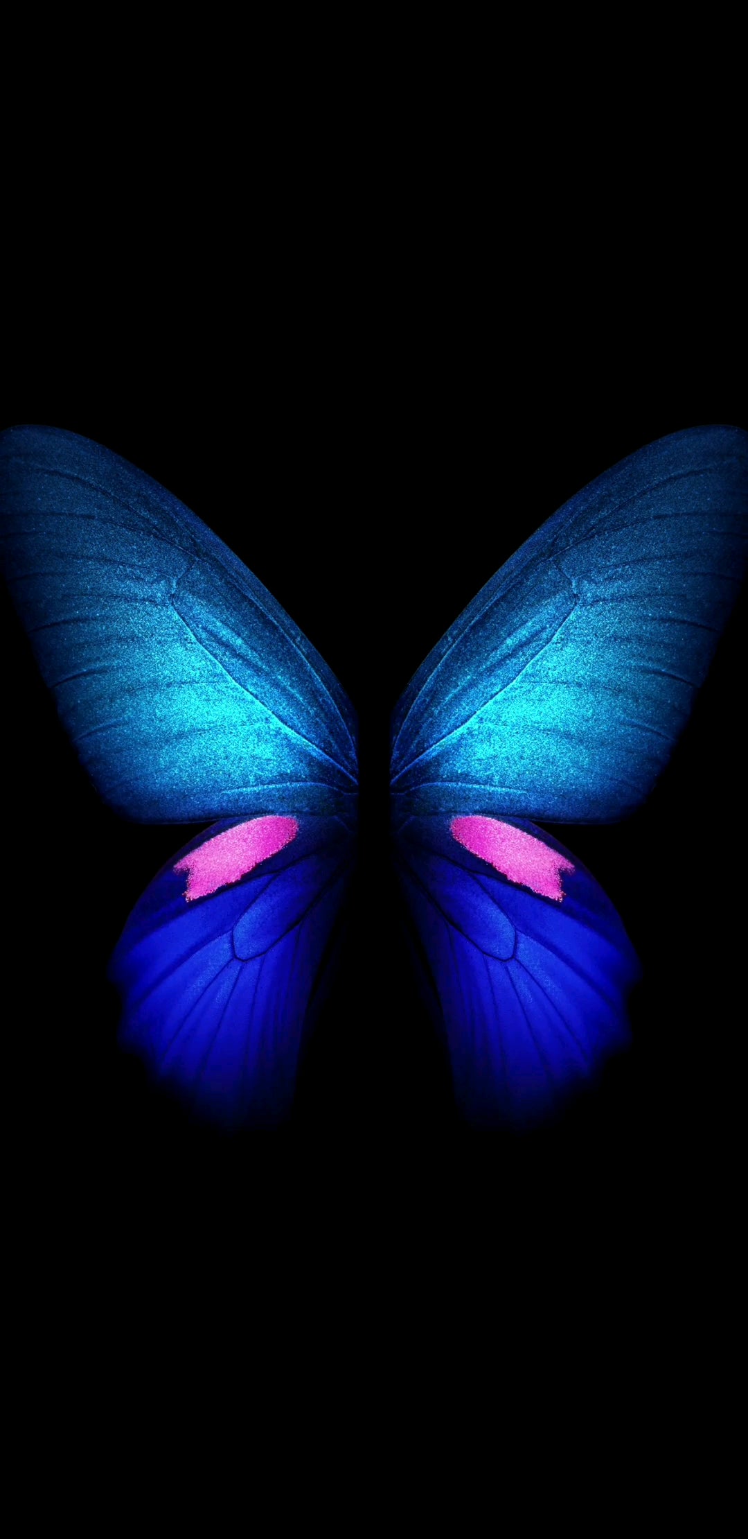 Galaxy Butterfly Wallpapers