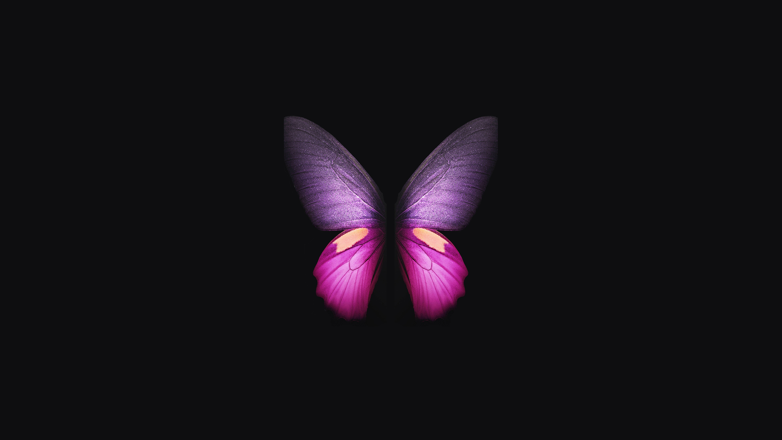 Galaxy Butterfly Wallpapers