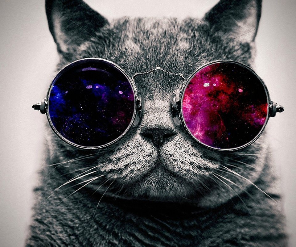 Galaxy Cat Wallpapers