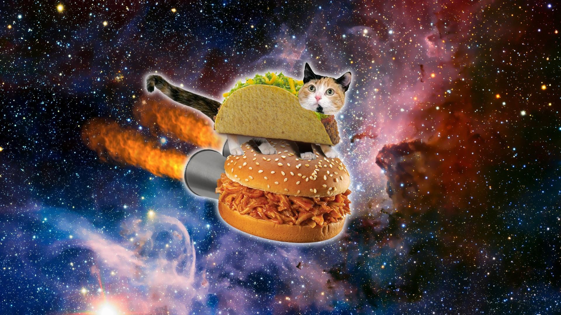 Galaxy Cat Wallpapers