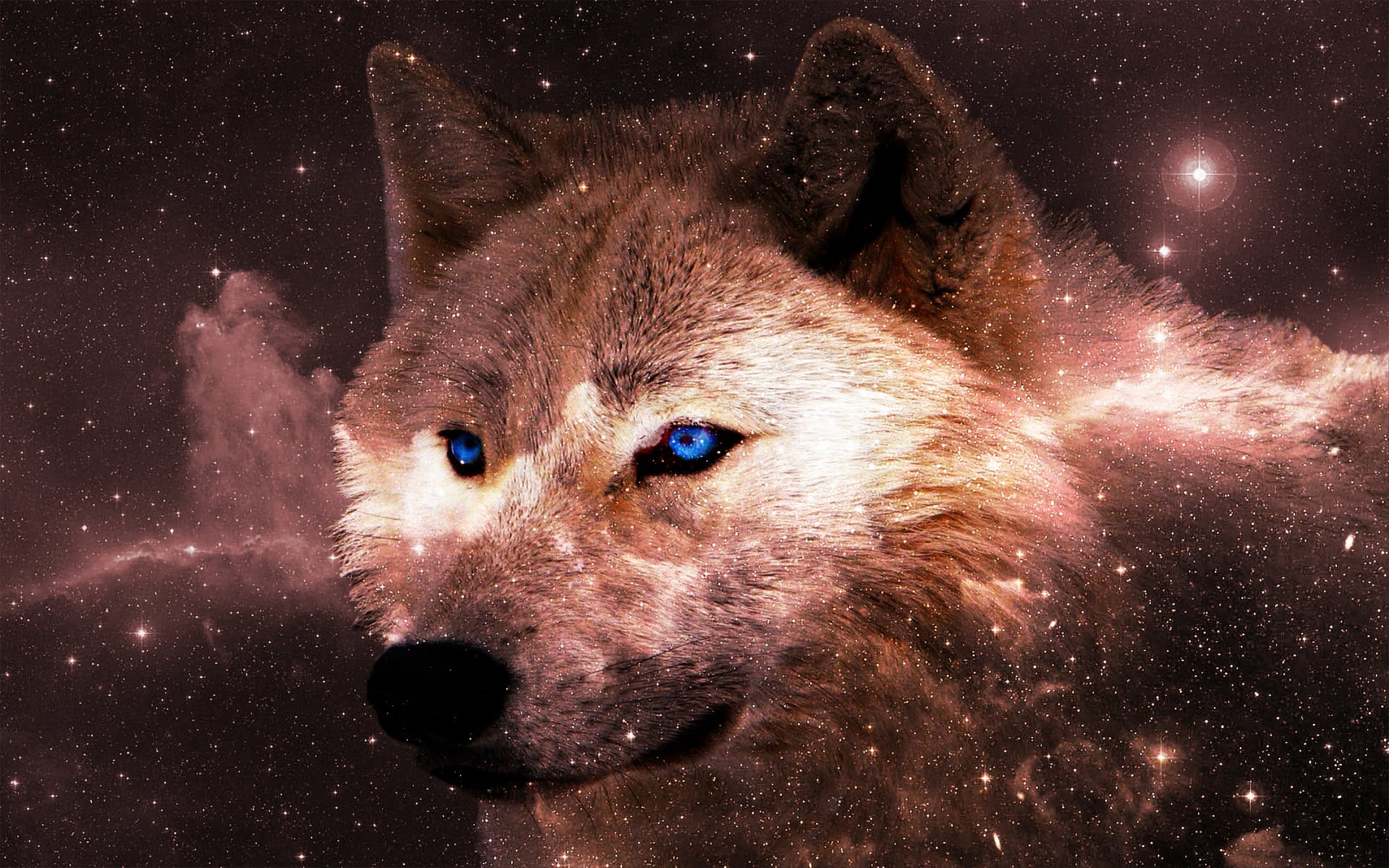 Galaxy Cute Wolf Drawings Wallpapers