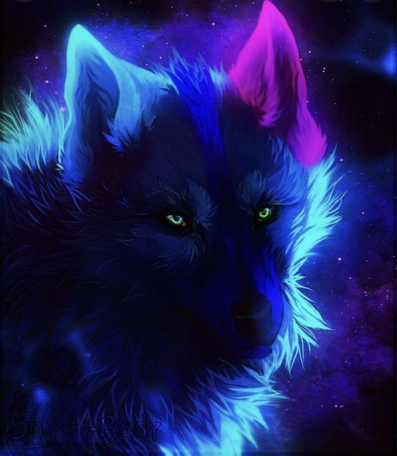 Galaxy Dog Wallpapers