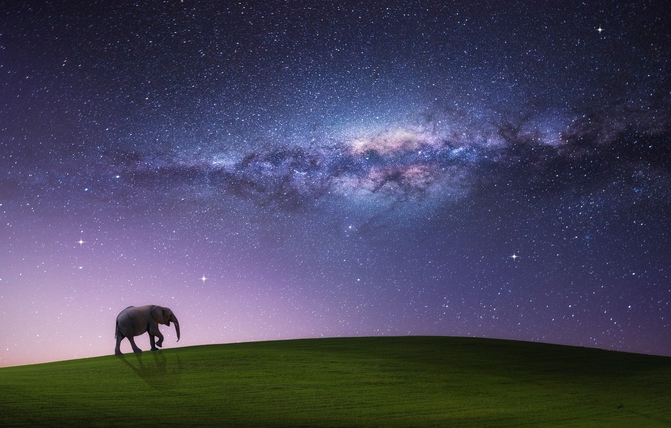 Galaxy Elephant Wallpapers