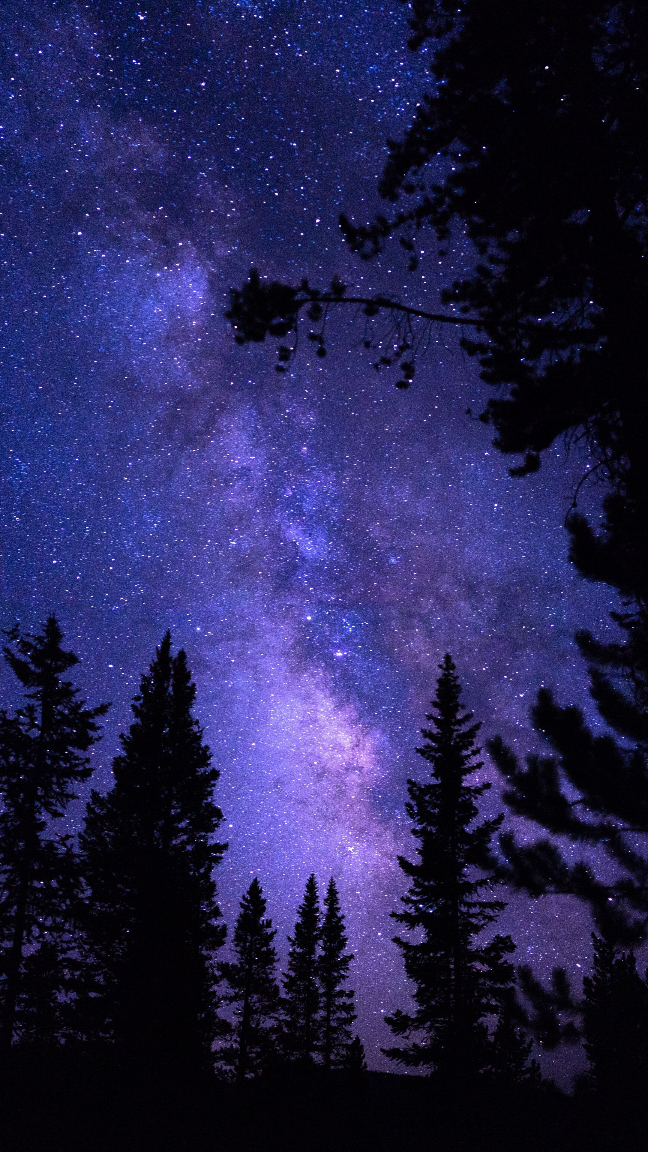 Galaxy Forest Wallpapers