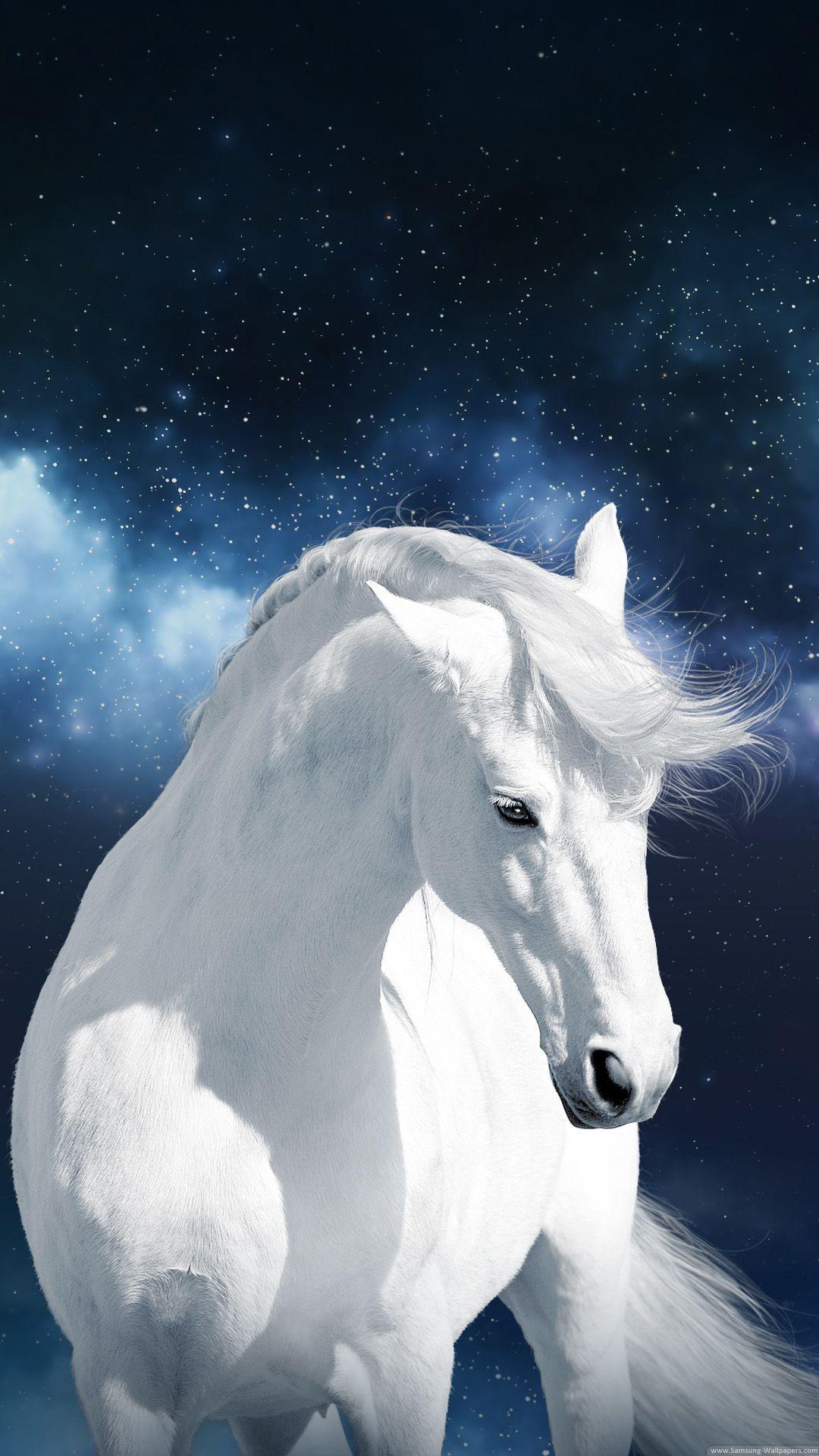 Galaxy Horse Wallpapers