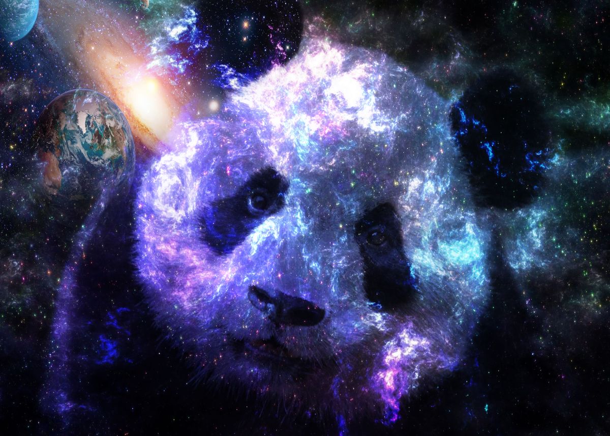 Galaxy Panda Wallpapers