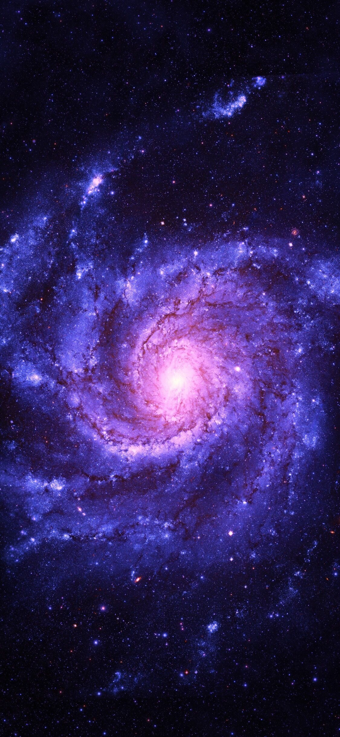 Galaxy Panda Wallpapers