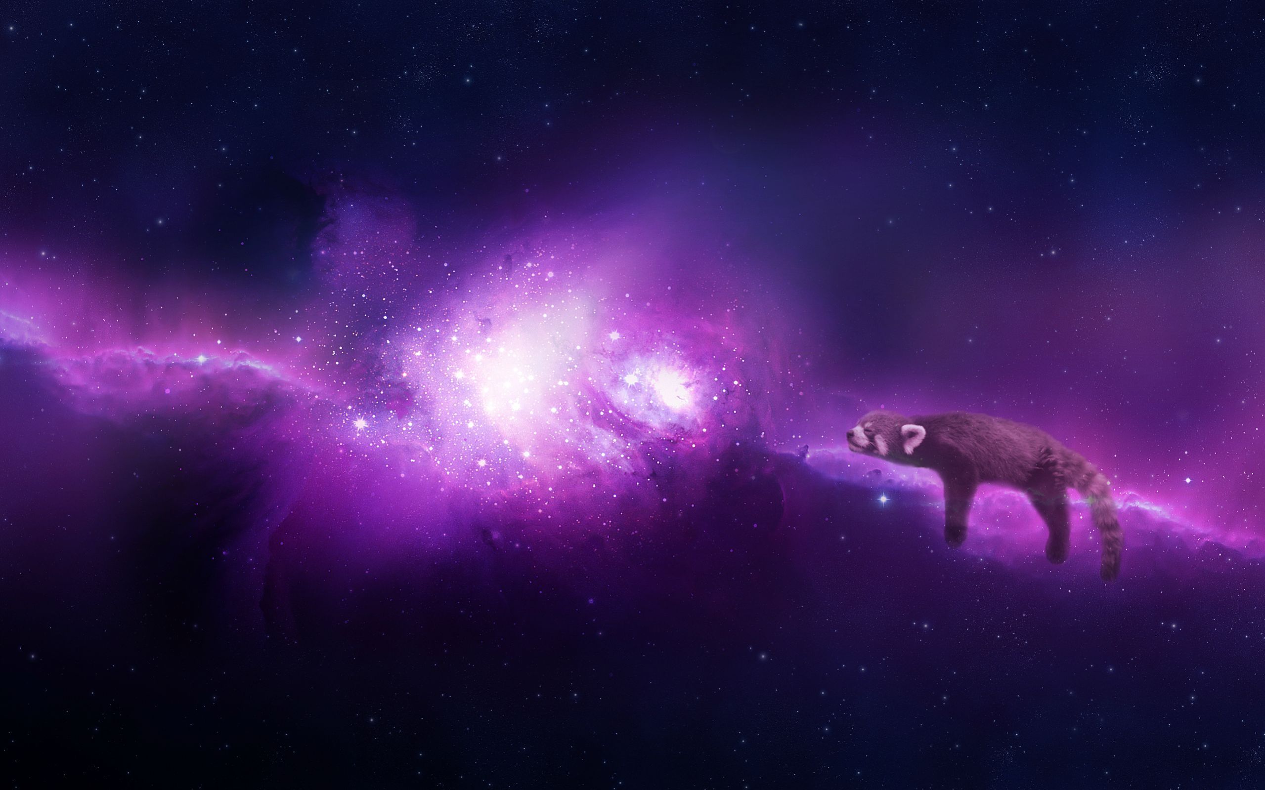 Galaxy Panda Wallpapers