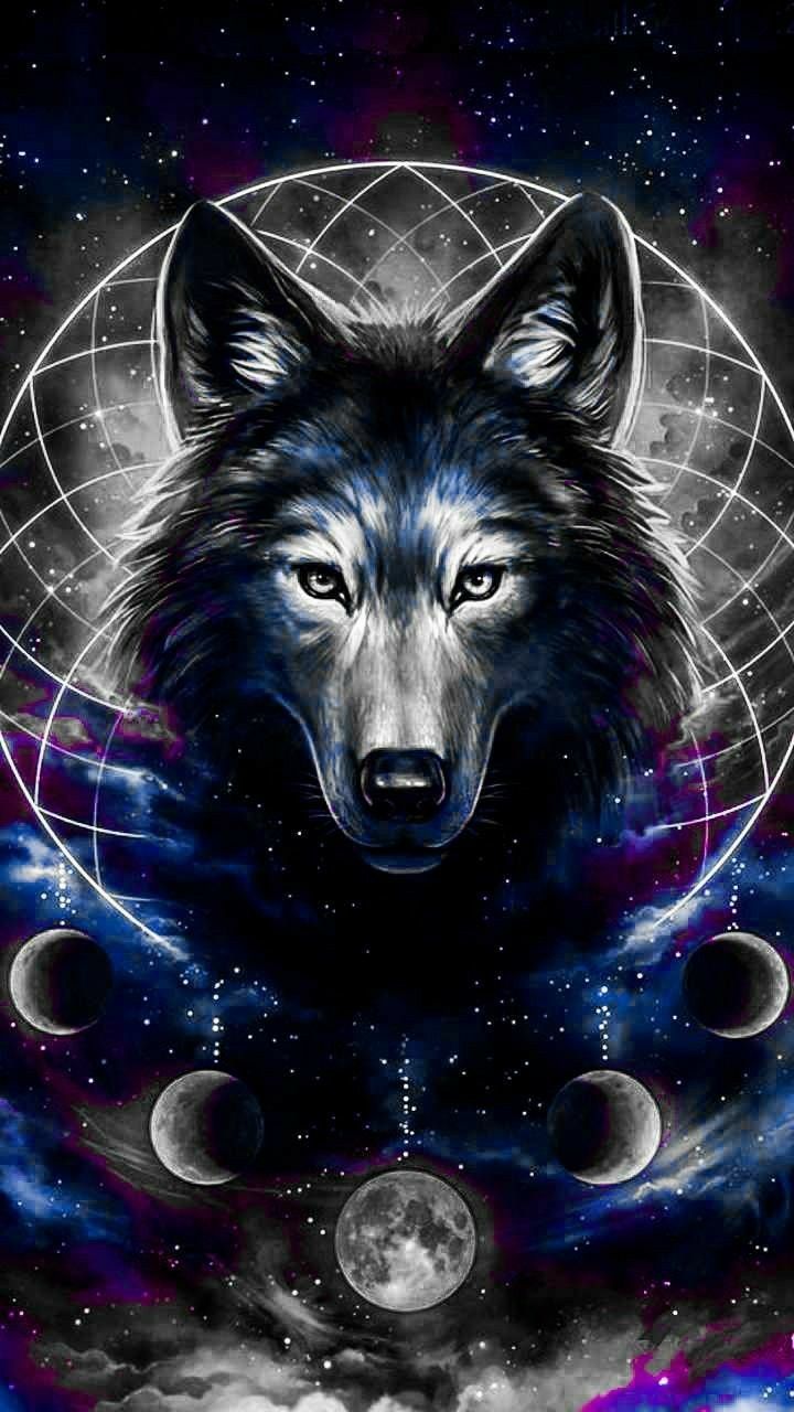 Galaxy Wolf Girl Wallpapers