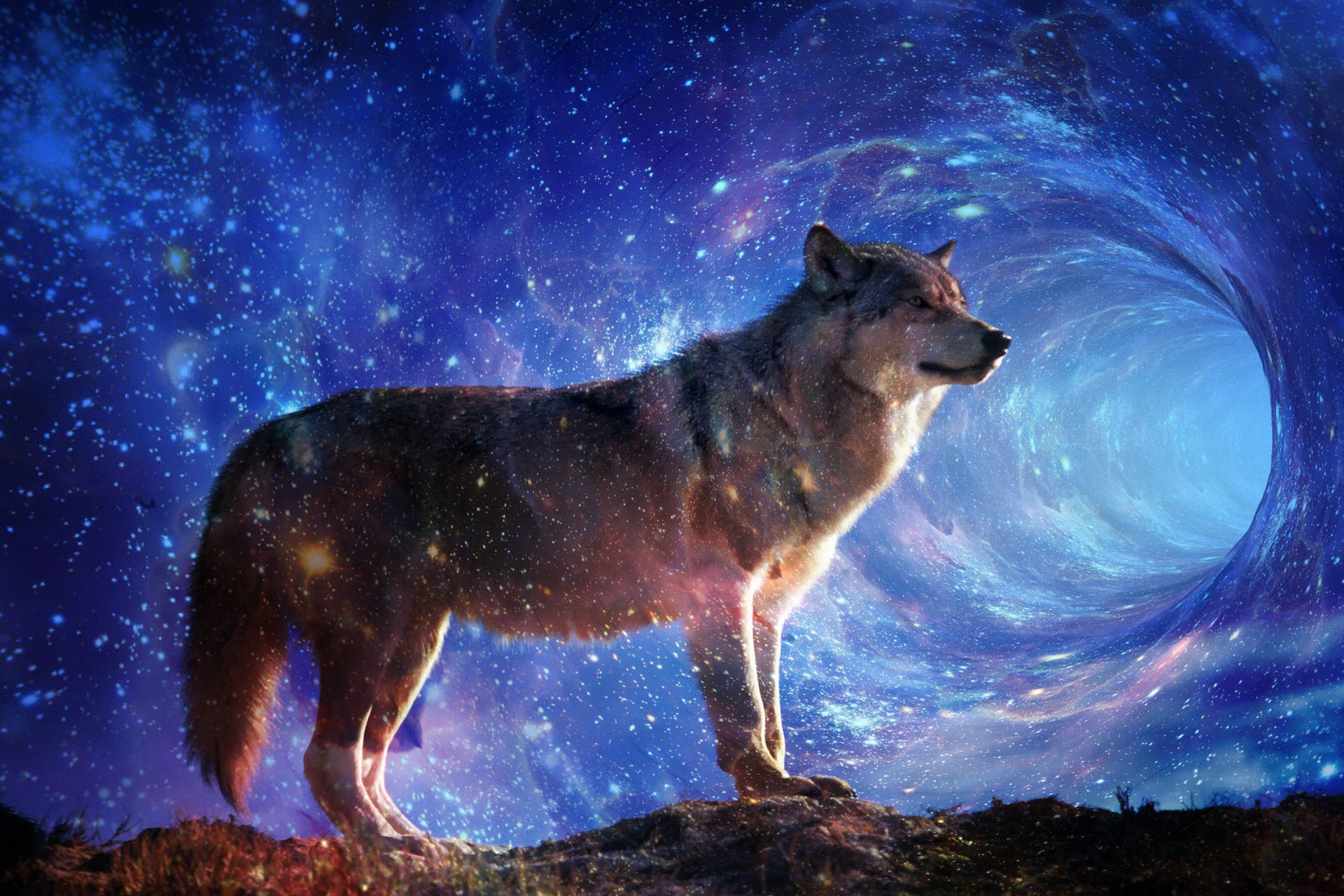 Galaxy Wolf Girl Wallpapers