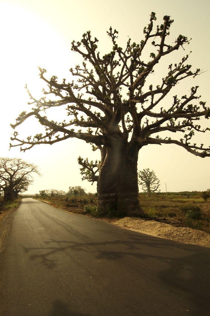 Gambia Wallpapers