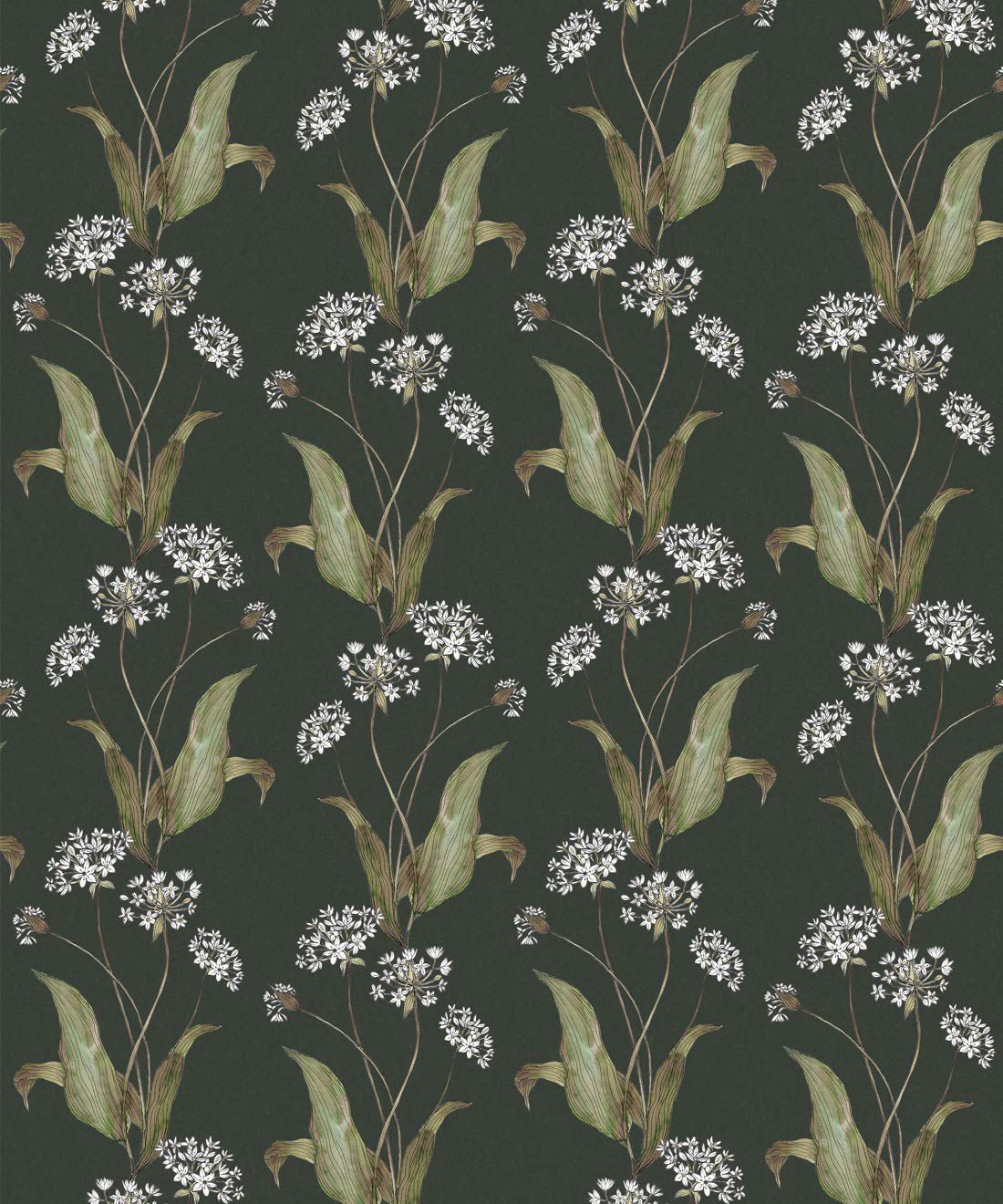 Garlic Wallpapers