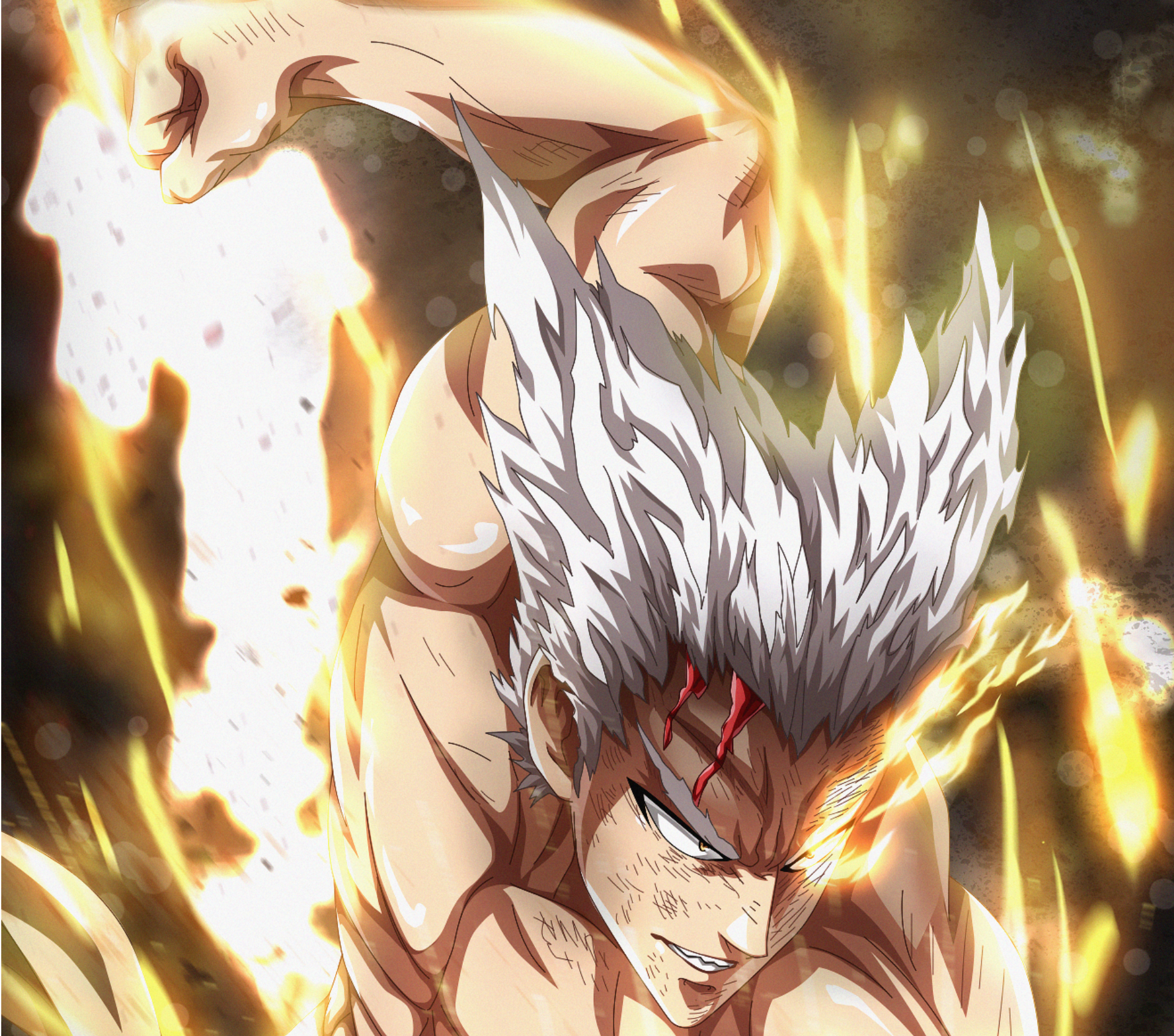 Garou One-Punch Man Wallpapers