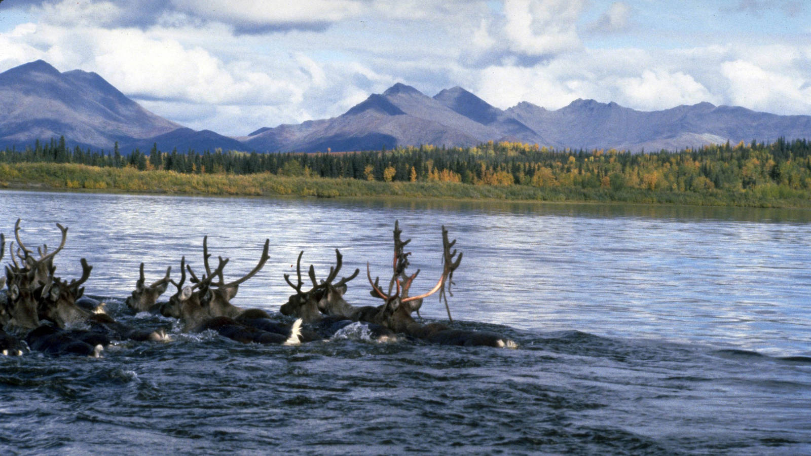 Gates Of The Arctic National Park And Preserve Wallpapers