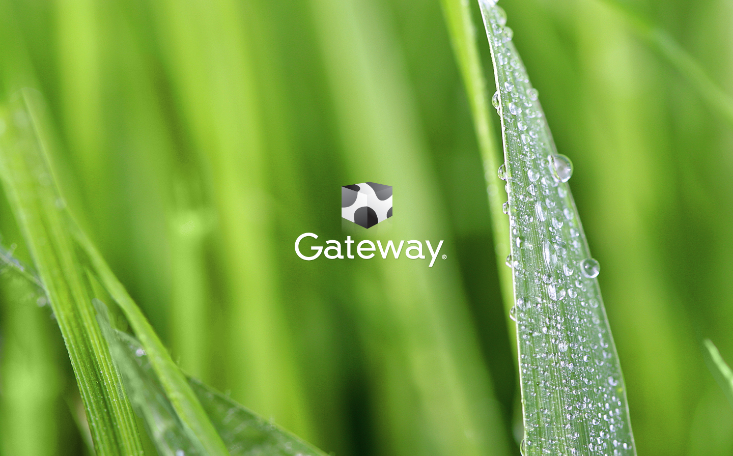 Gateway Background