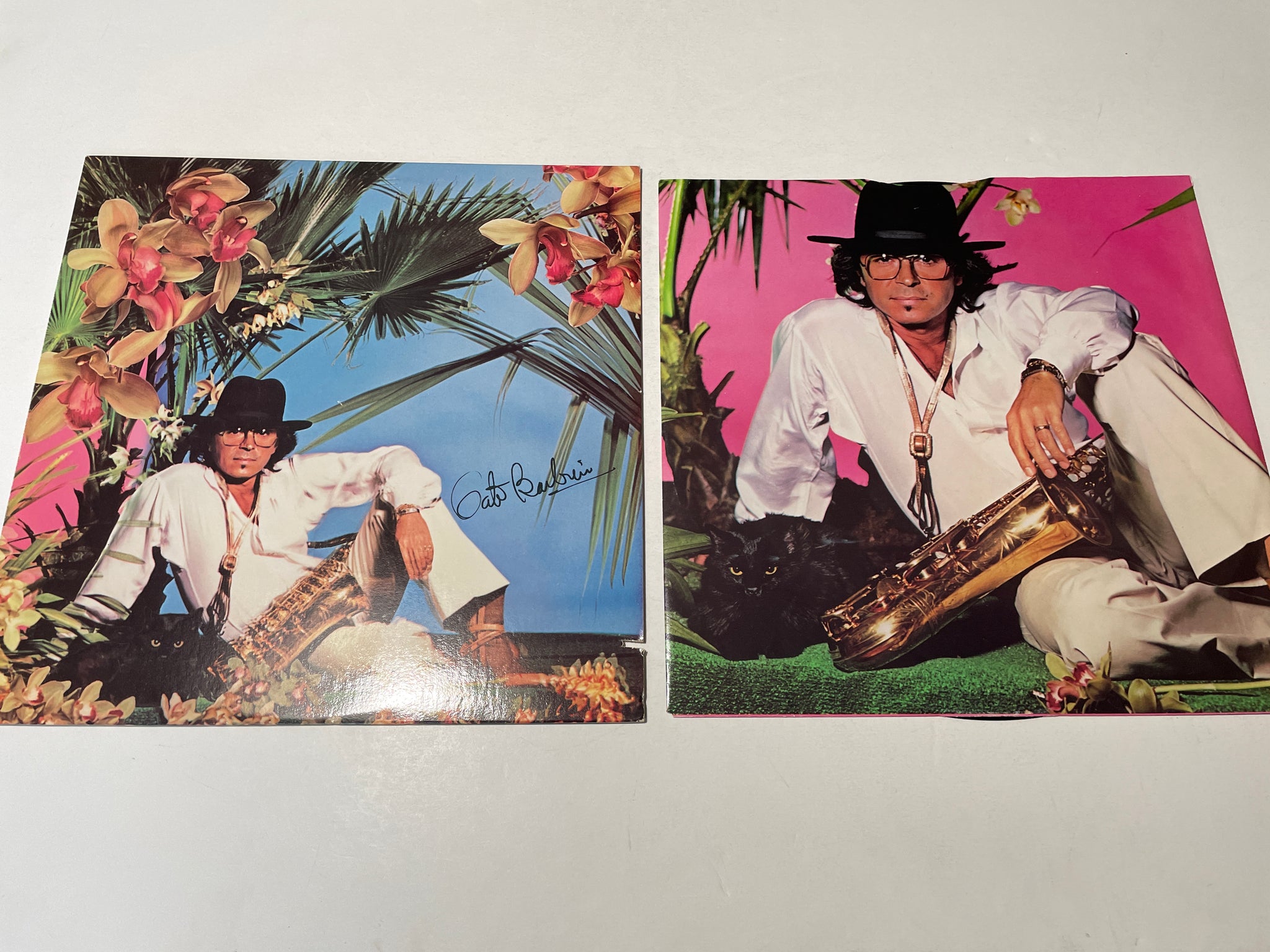 Gato Barbieri Wallpapers