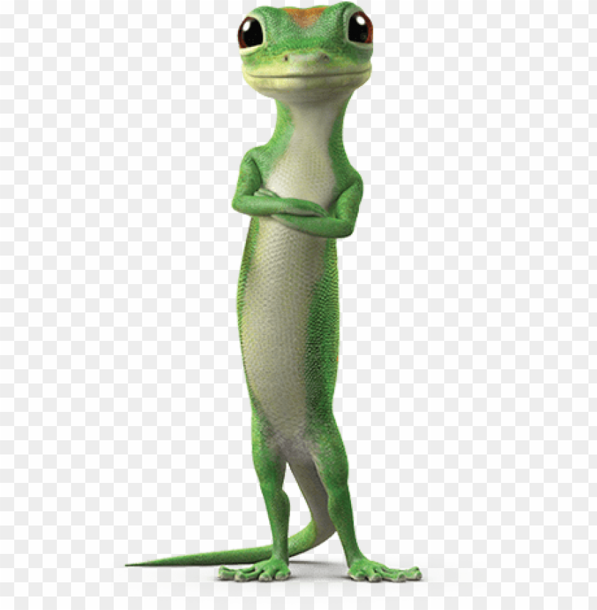 Geico Wallpapers