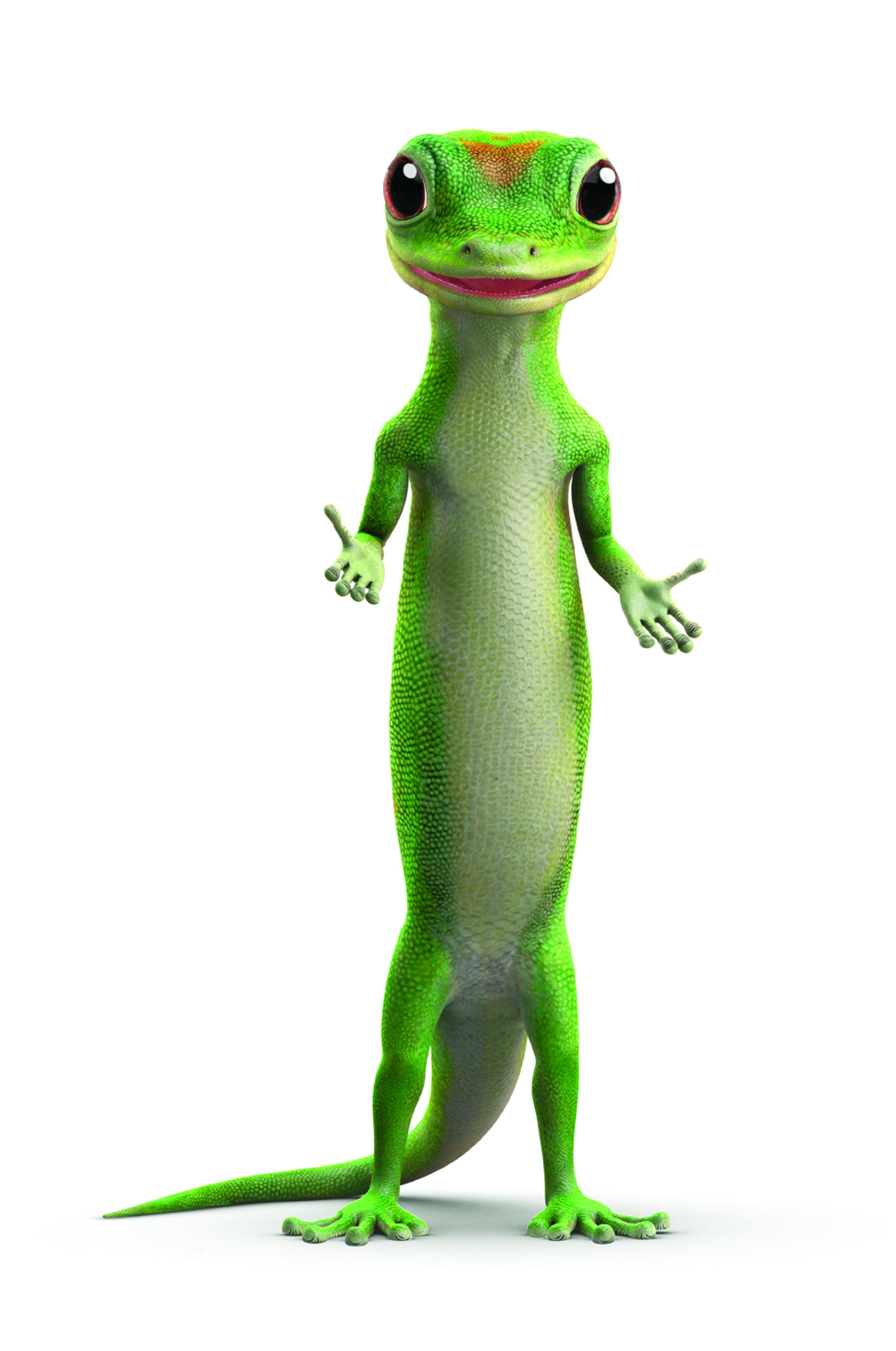 Geico Wallpapers