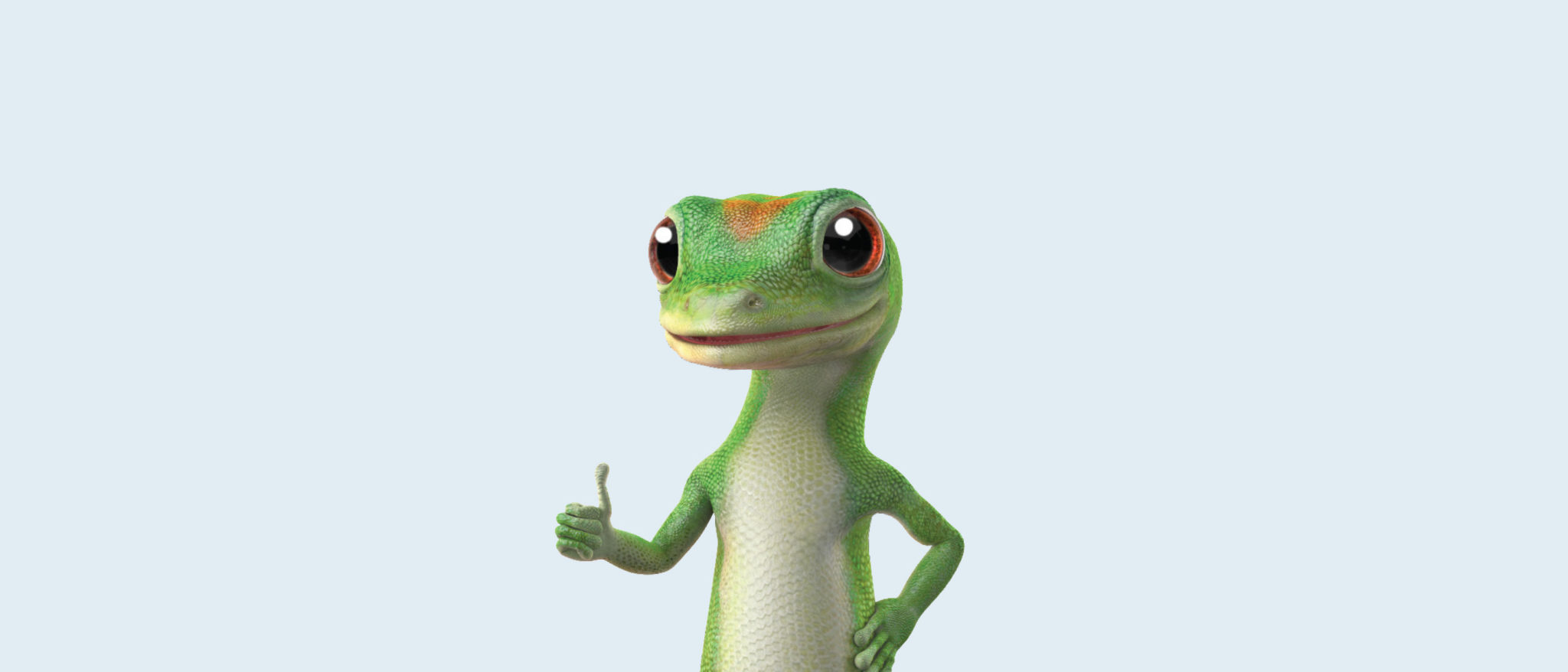 Geico Wallpapers