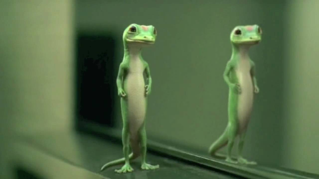 Geico Wallpapers