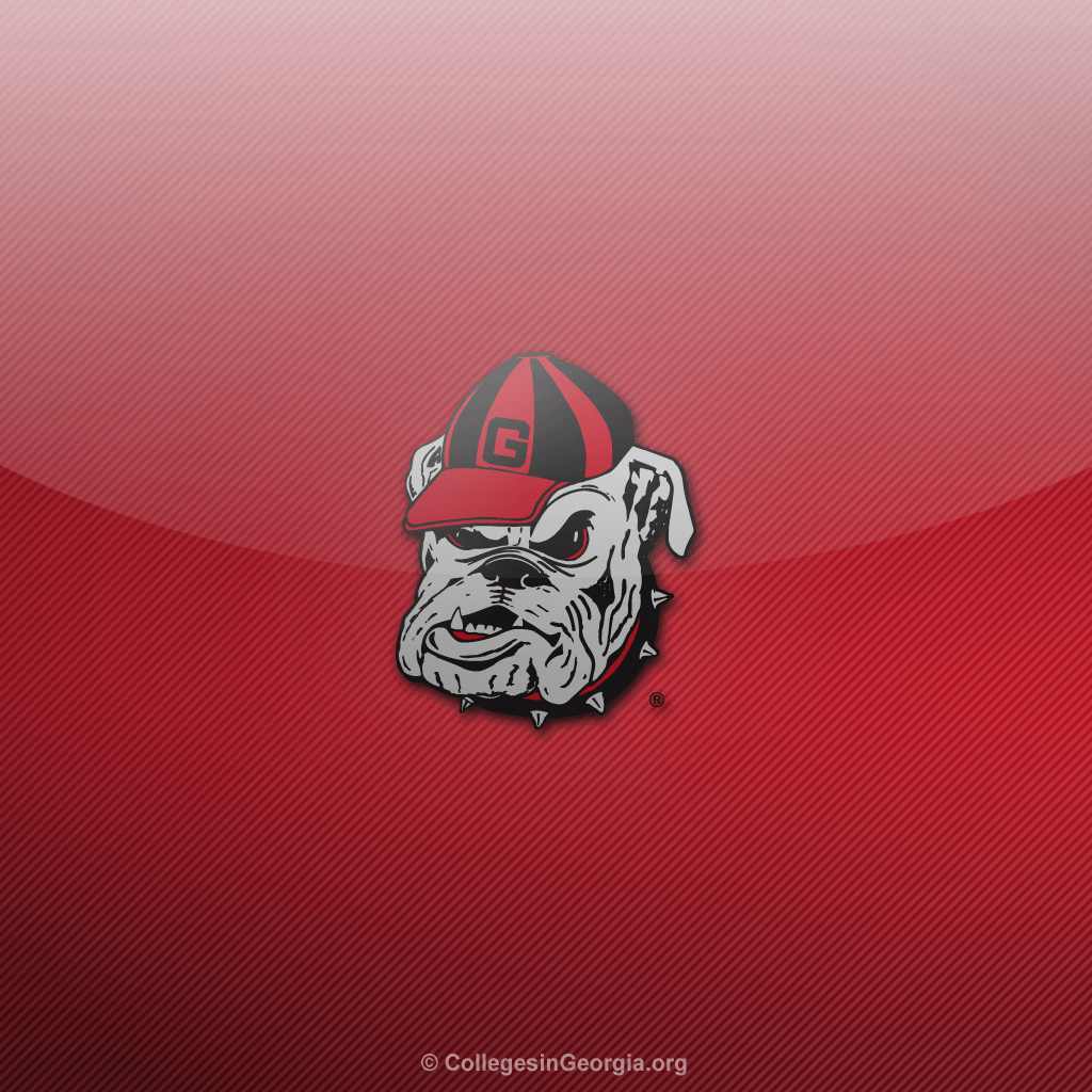 Georgia Bulldog Phone Wallpapers