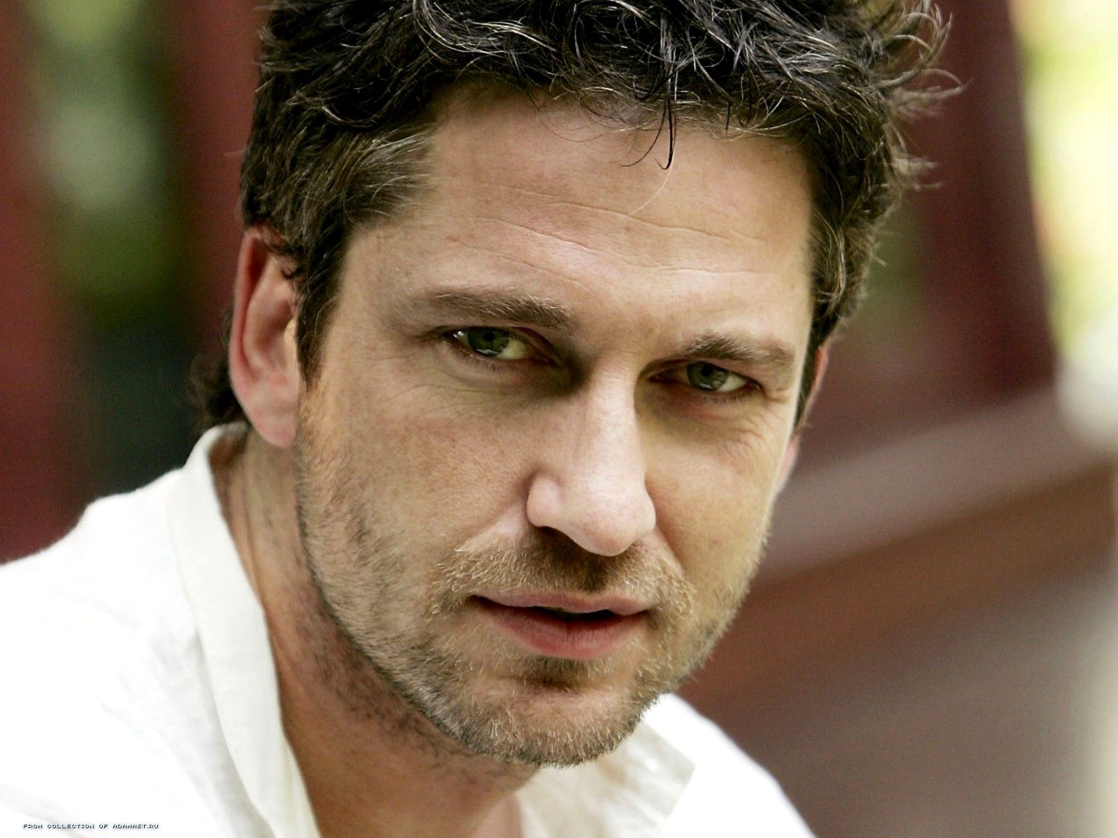 Gerald Butler Wallpapers