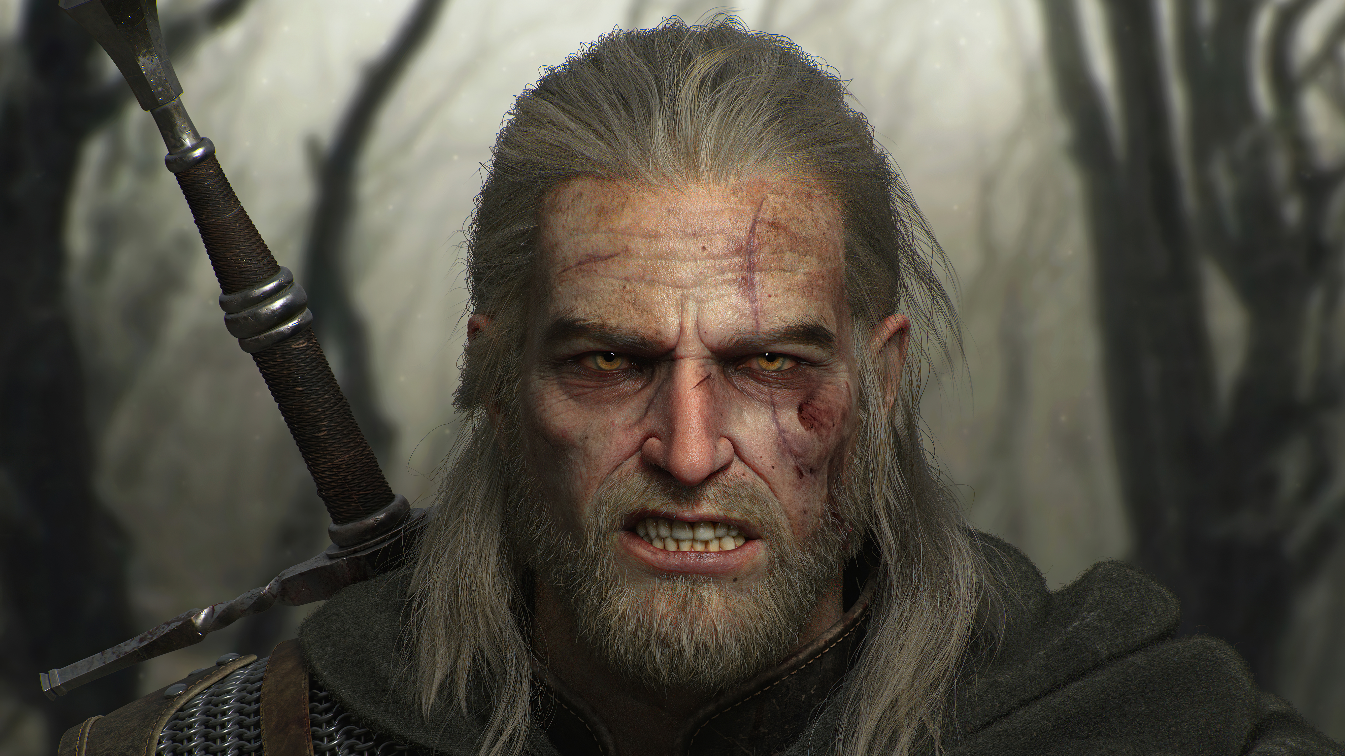 Geralt Witcher Wallpapers