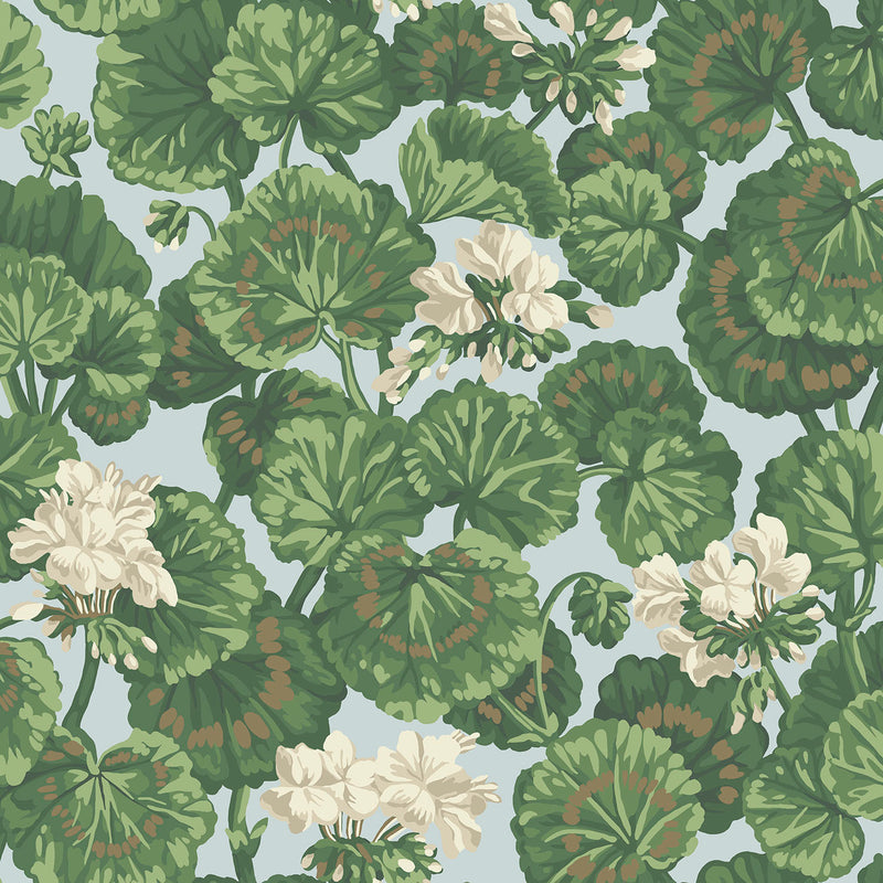 Geranium Wallpapers