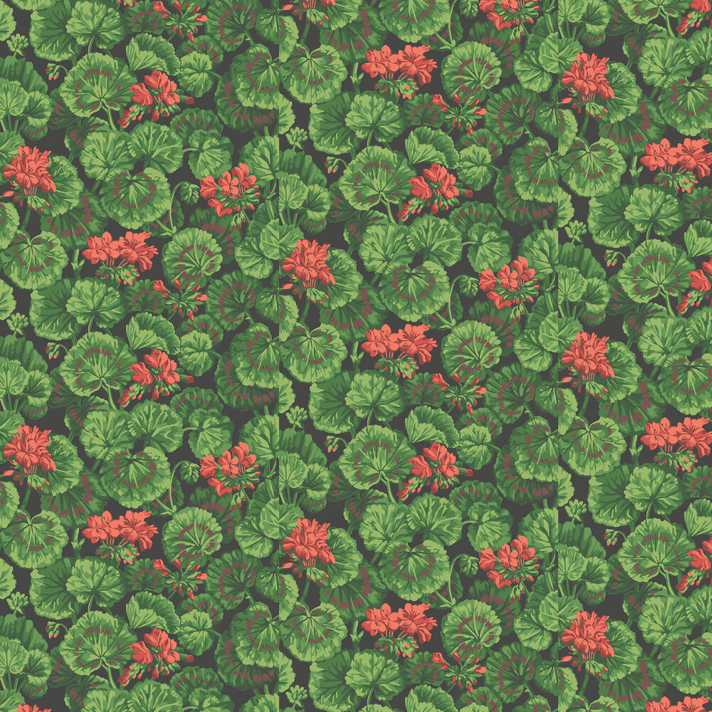 Geranium Wallpapers