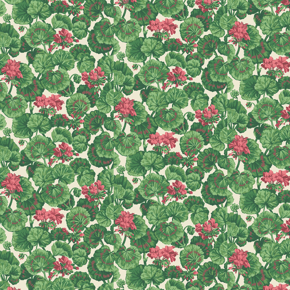 Geranium Wallpapers