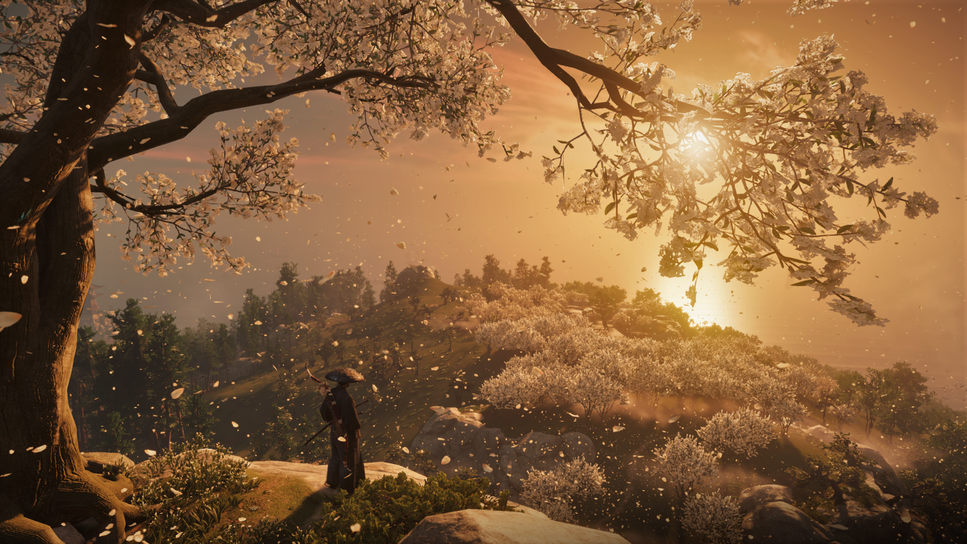 Ghost Of Tsushima Beautiful Landscape Wallpapers