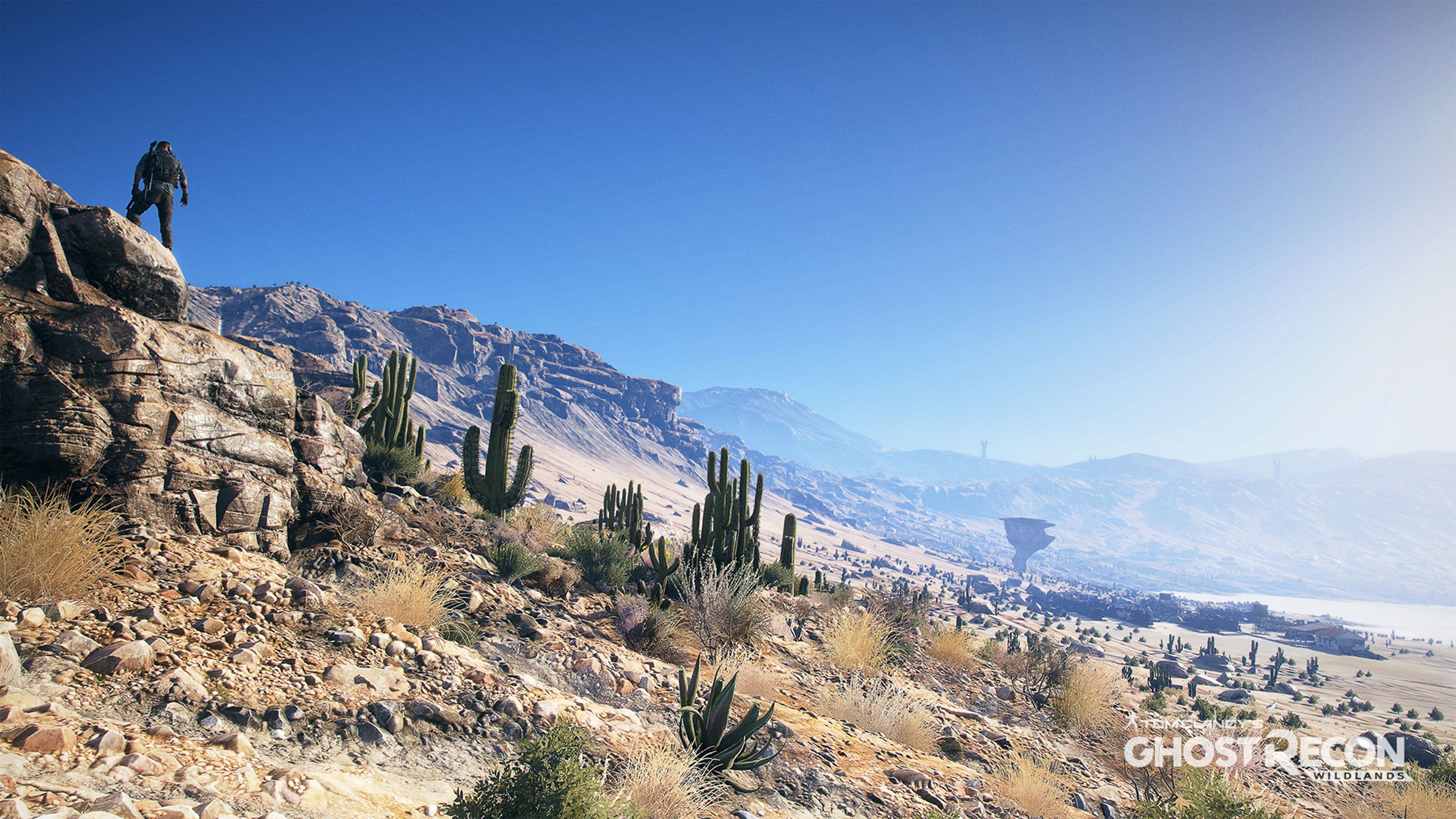 Ghost Recon Wildlands Background