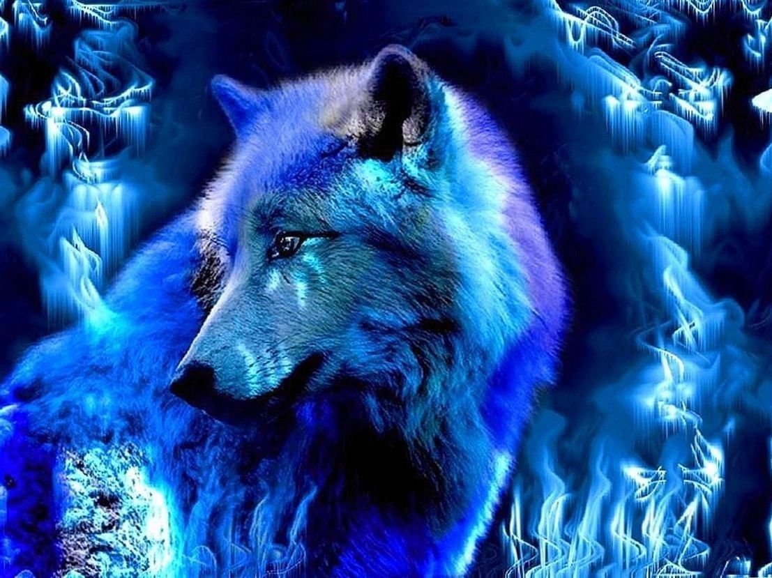 Ghost Wolf Wallpapers