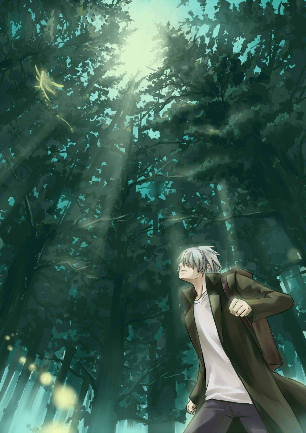 Ginko Mushishi Wallpapers