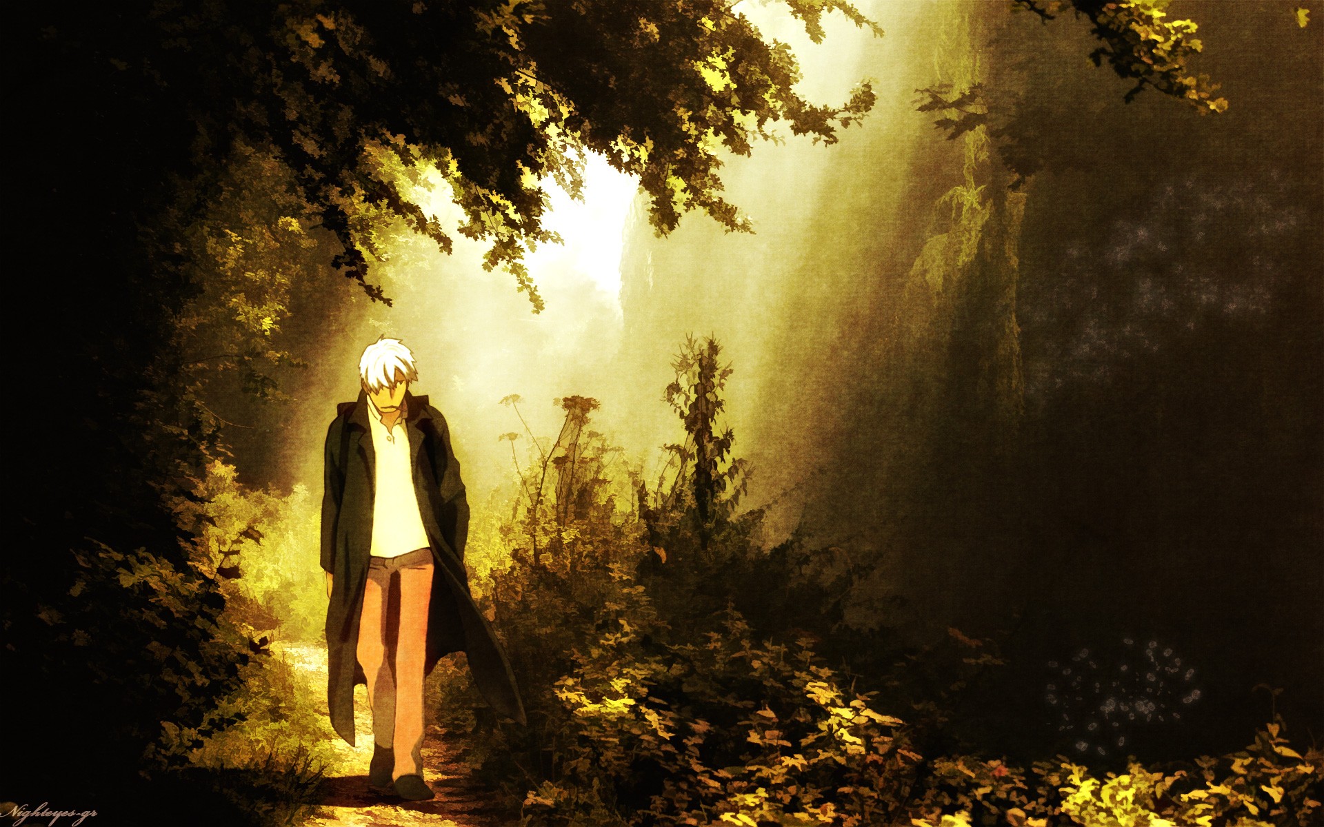 Ginko Mushishi Wallpapers