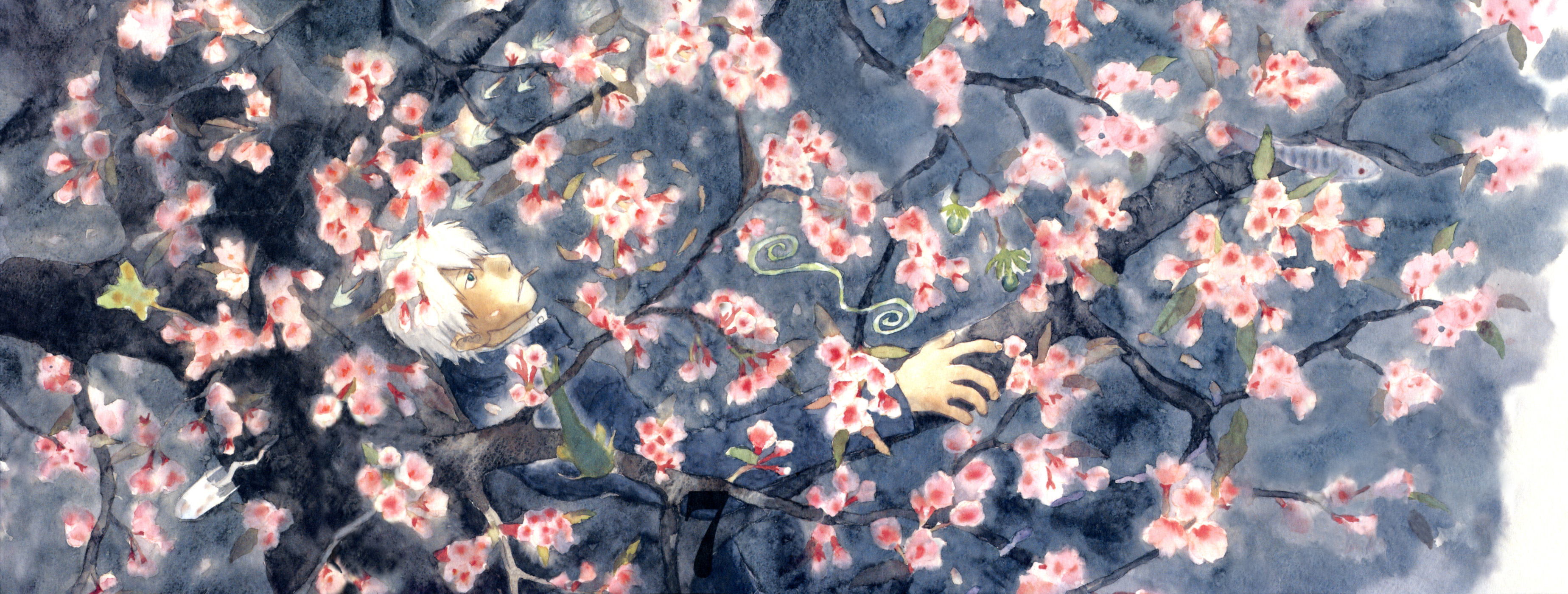 Ginko Mushishi Wallpapers